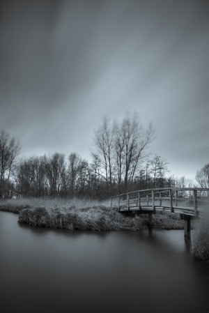 Bridge at Abtswourdse Forest, Delft, NL