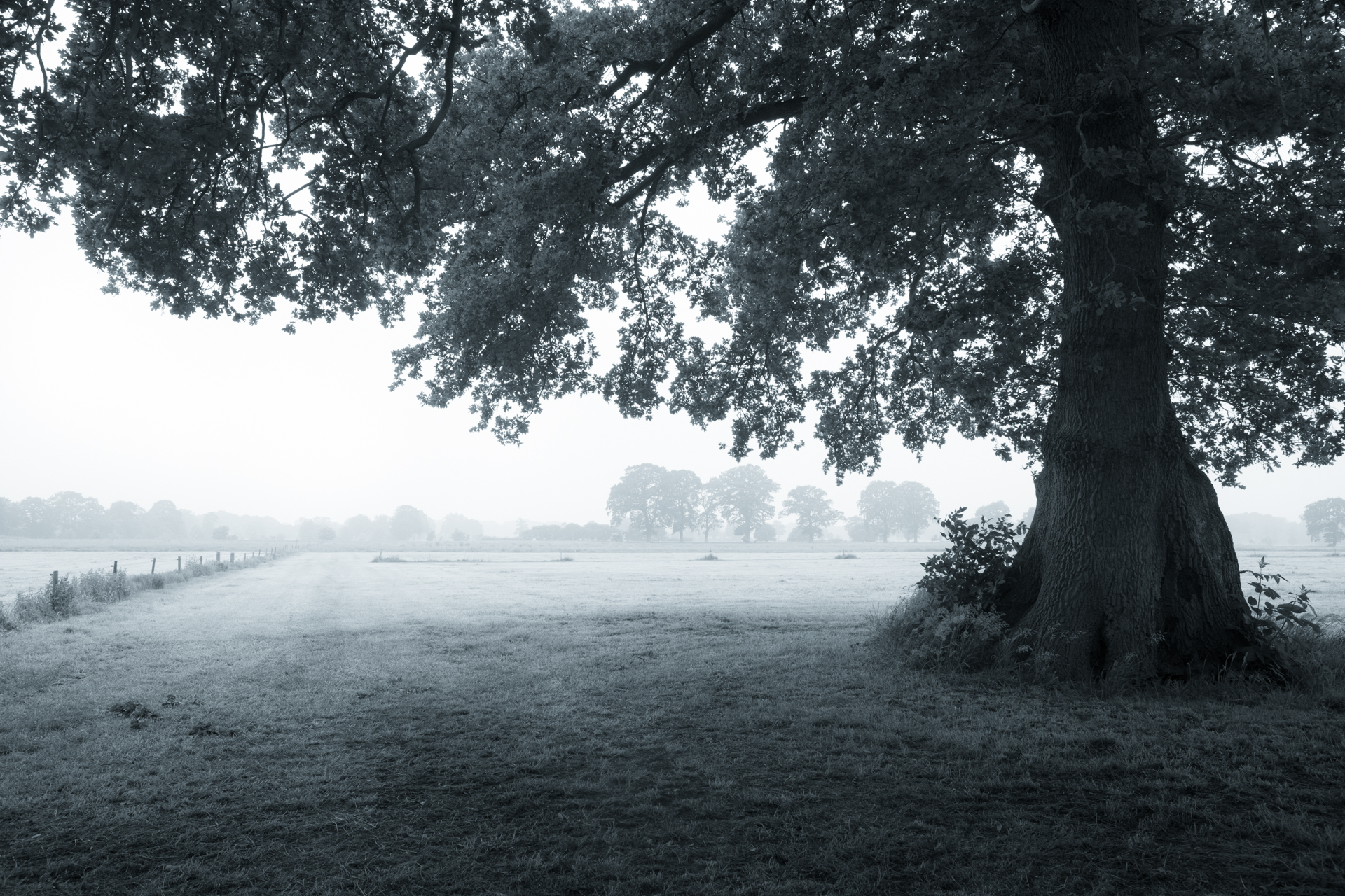 Dutch Mountains II