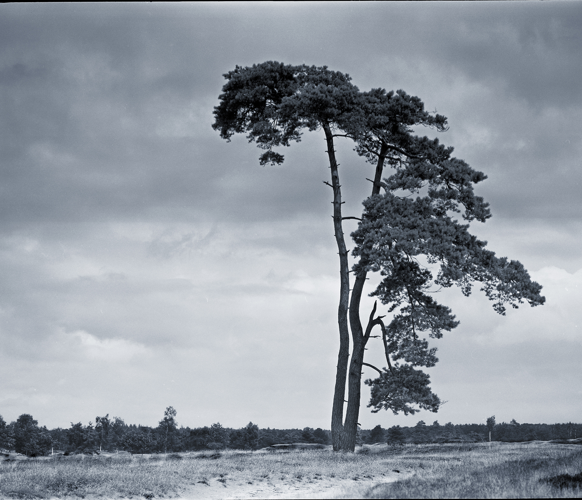 Dutch Mountians III