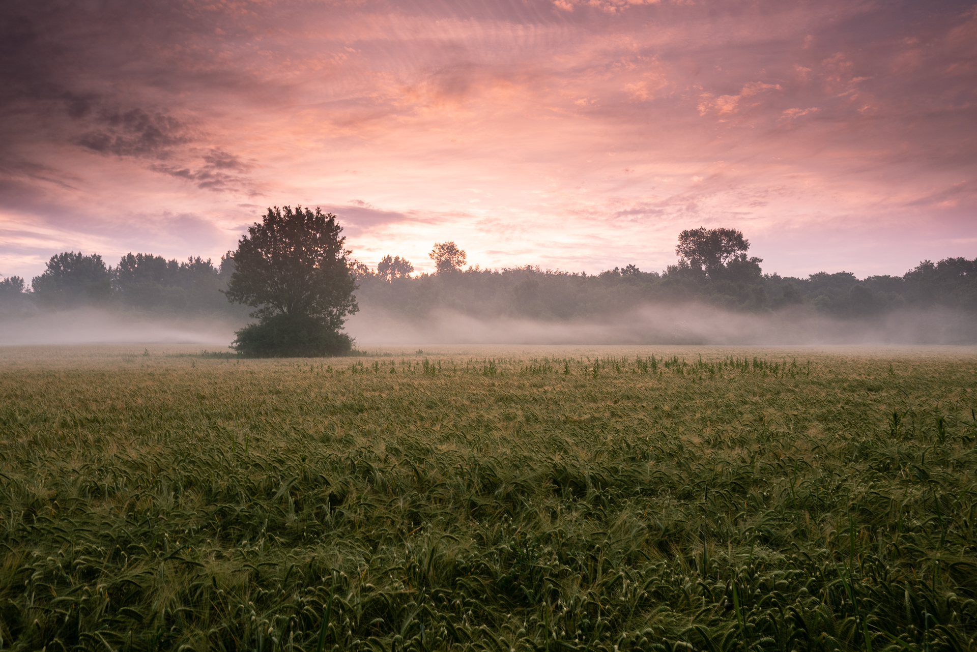 Sunrise in Almere Hout